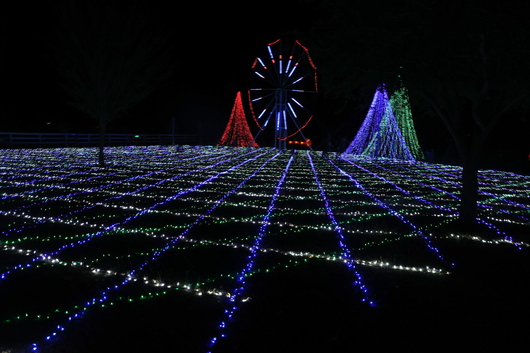 Holiday lights
